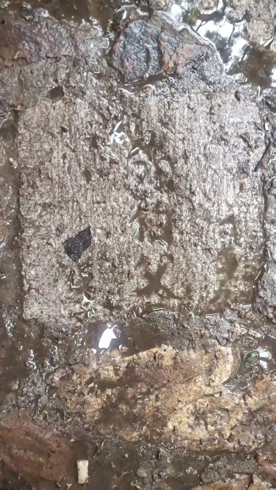 公园用墓碑铺路,碑面可见“先父”“贤妻”等称谓