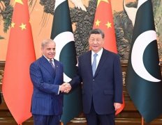 中巴联合声明：将就国际地区问题保持密切协调